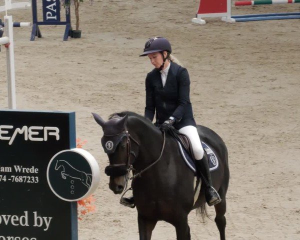 Reitturnier Borken 2024
