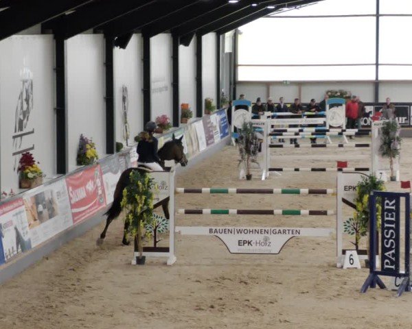 Reitturnier Borken 2024