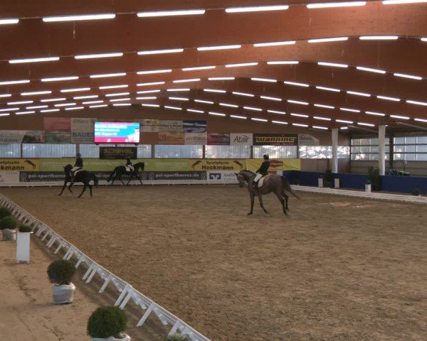 Reitturnier Isterberg 2024