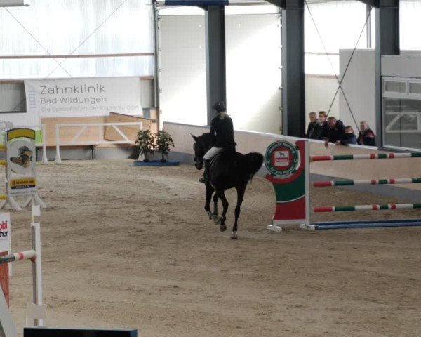 Reitturnier Borken 2024