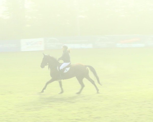 Reitturnier Scharnebeck 2024