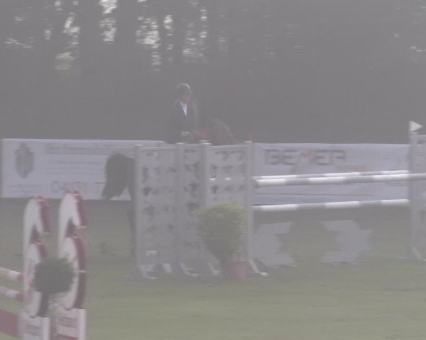 Reitturnier Scharnebeck 2024
