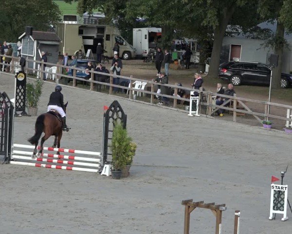 Reitturnier Scharnebeck 2024
