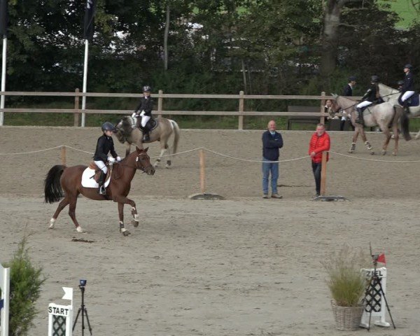 Reitturnier Scharnebeck 2024