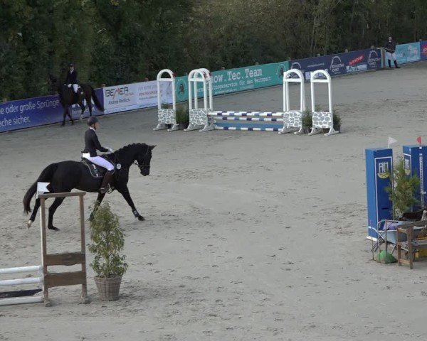 Reitturnier Scharnebeck 2024