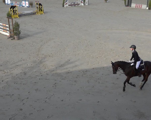 Reitturnier Scharnebeck 2024