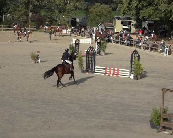 Reitturnier Scharnebeck 2024