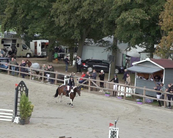 Reitturnier Scharnebeck 2024