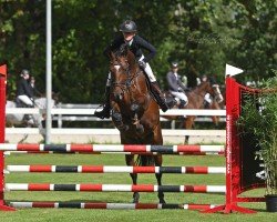 Springpferd Maybach 15 (Bulgarisches Warmblut, 2020, von Micado)