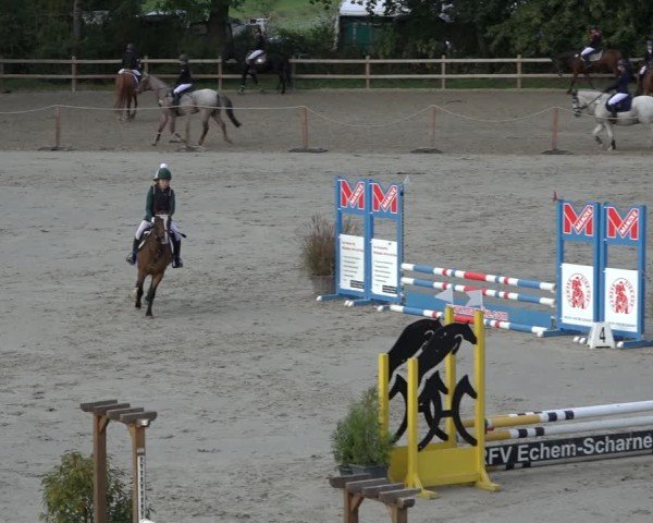 Reitturnier Scharnebeck 2024