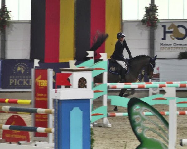Reitturnier Karlsfeld/Obb. 2021