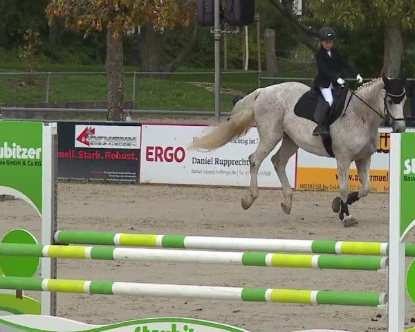 Reitturnier Frankenhof-Sonnefeld/Ofr. 2024