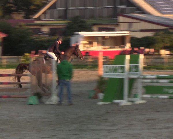 Reitturnier Schülp / Rendsburg 2021