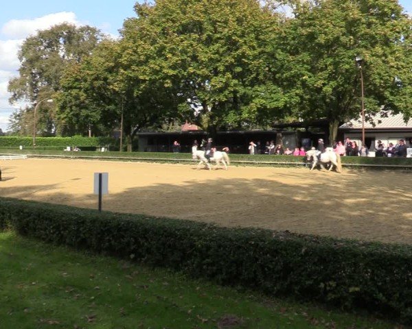 Reitturnier Bottrop-Kirchhellen 2024