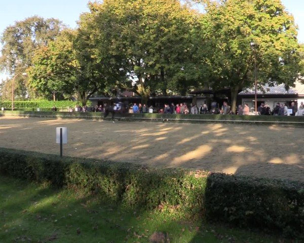 Reitturnier Bottrop-Kirchhellen 2024