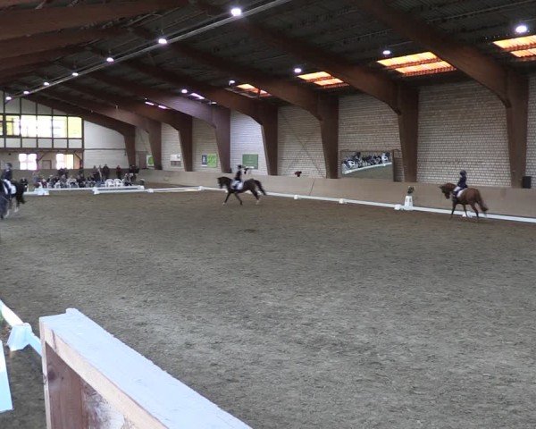 Reitturnier Kamen 2024