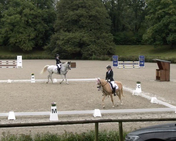 Reitturnier Tübingen 2024