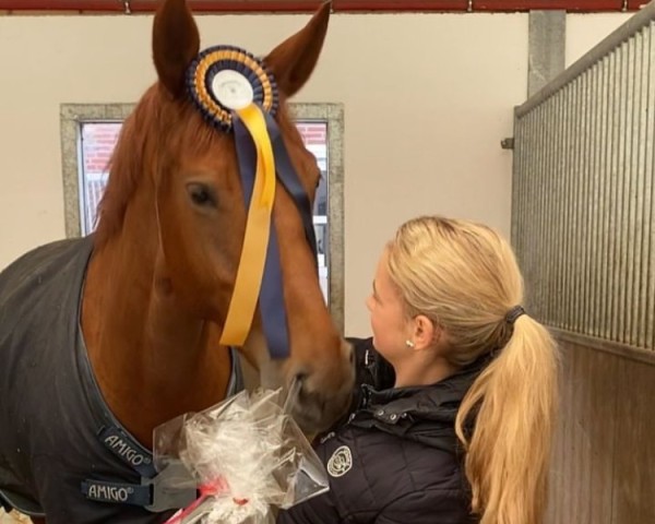 dressage horse Meine Feine Maxima (Oldenburg, 2019, from Morricone)