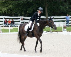 stallion Balsamico (Trakehner, 2002, from Hertug)