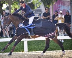 Springpferd Coralina Ls (Slowenisches Warmblut, 2013, von Casall Ask)