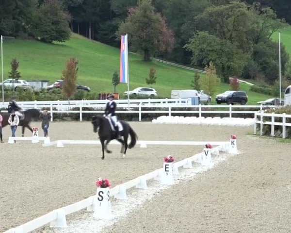 Reitturnier St. Margarethen 2024