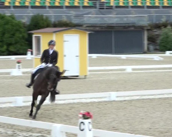 Reitturnier St. Margarethen 2024