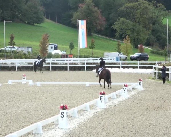 Reitturnier St. Margarethen 2024