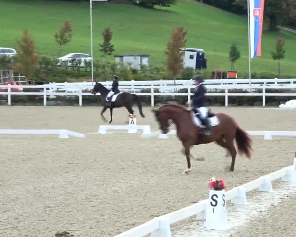 Reitturnier St. Margarethen 2024