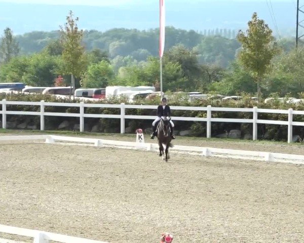 Reitturnier St. Margarethen 2024