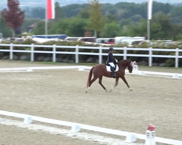 Reitturnier St. Margarethen 2024