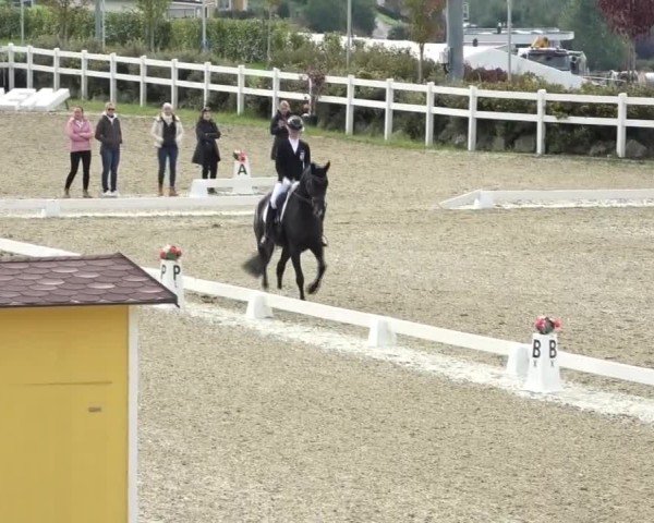 Reitturnier St. Margarethen 2024