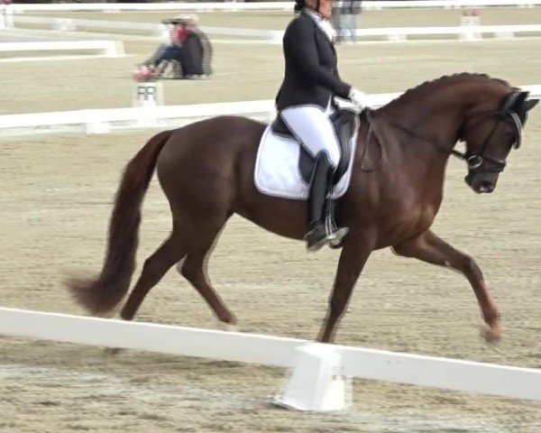 Reitturnier St. Margarethen 2024