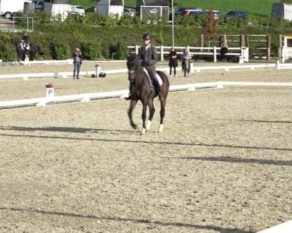 Reitturnier St. Margarethen 2024