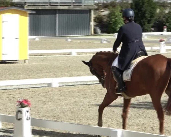 Reitturnier St. Margarethen 2024