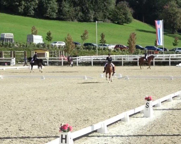 Reitturnier St. Margarethen 2024