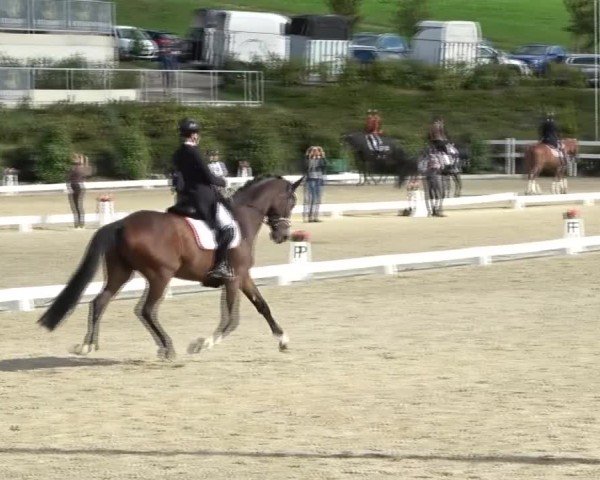 Reitturnier St. Margarethen 2024