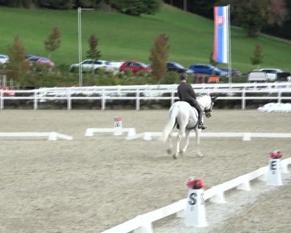 Reitturnier St. Margarethen 2024