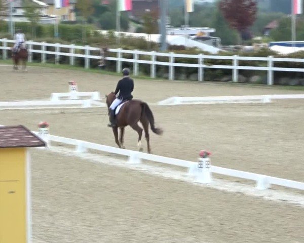 Reitturnier St. Margarethen 2024