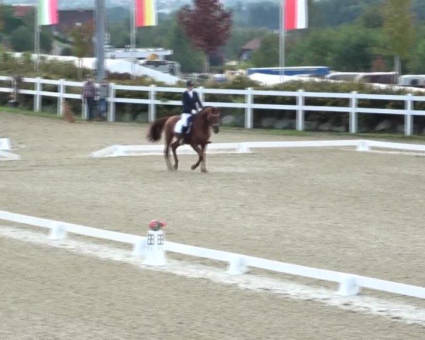Reitturnier St. Margarethen 2024