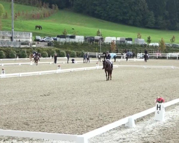 Reitturnier St. Margarethen 2024