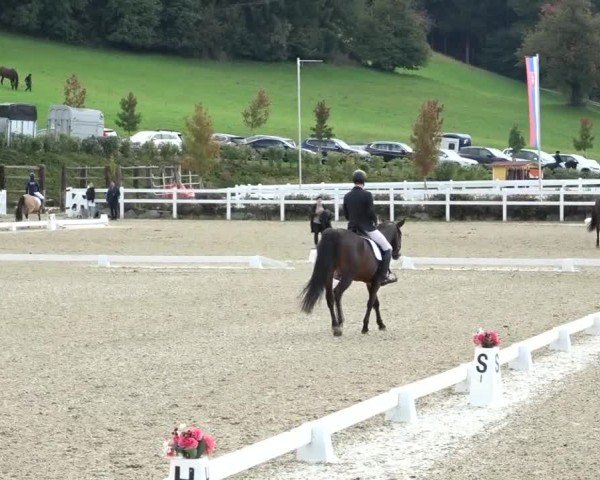 Reitturnier St. Margarethen 2024