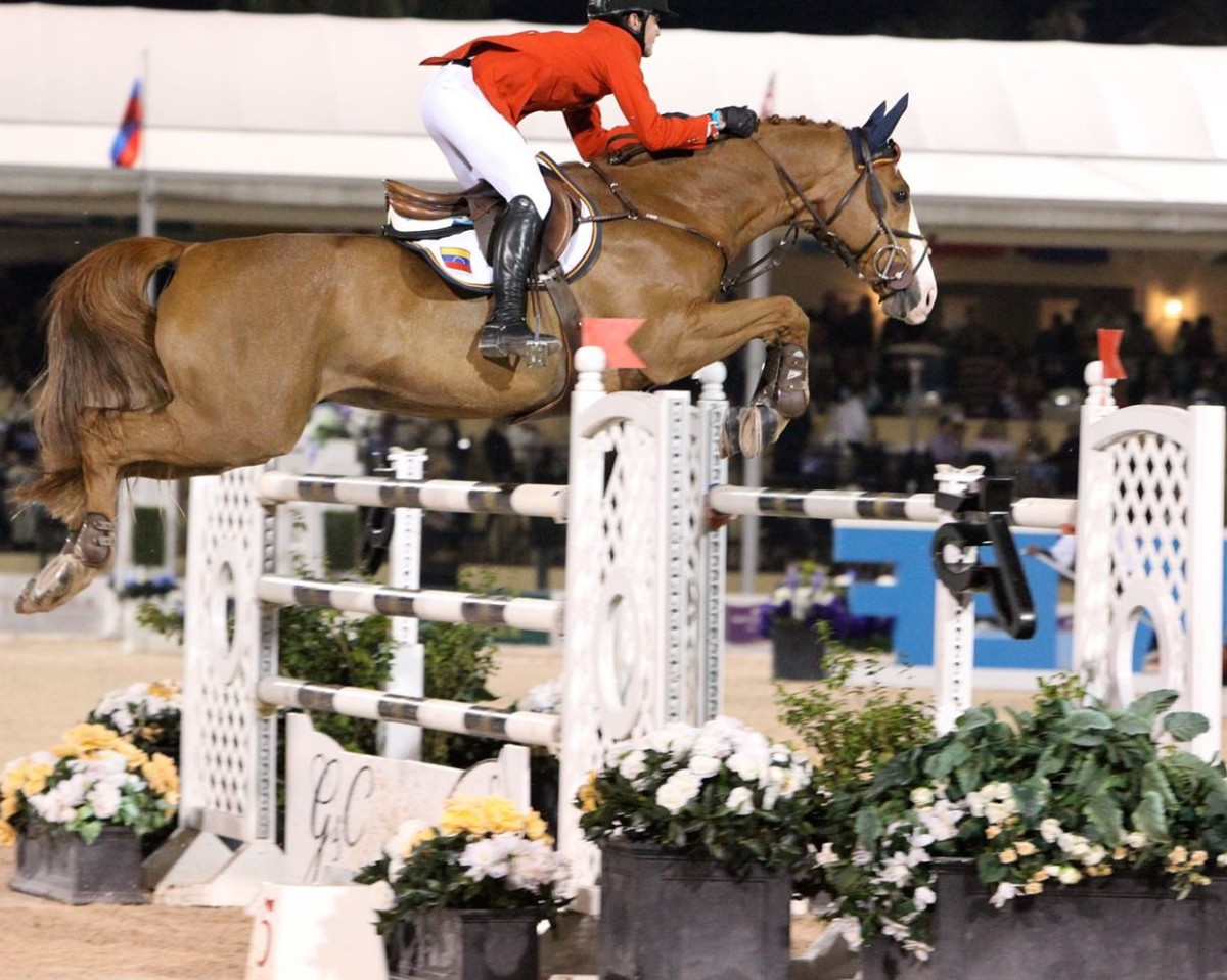 Springpferd G And C Flash (Hannoveraner, 2002, von Forrester)