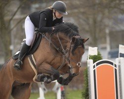Springpferd Qroquant van het Klaverveld (Belgisches Warmblut, 2016, von Carlow van de Helle)