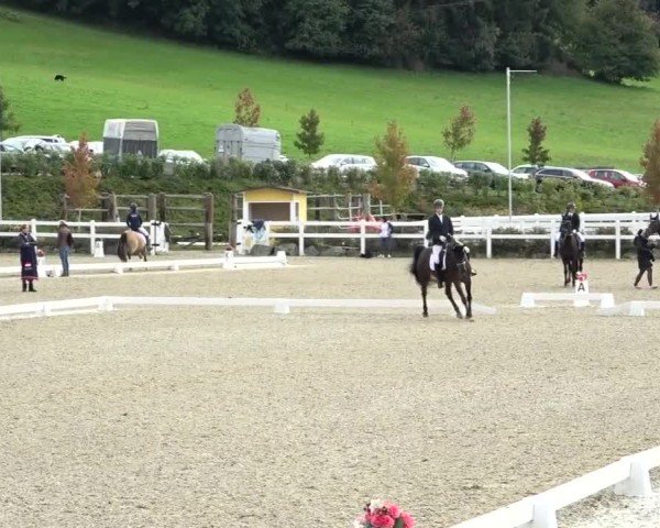 Reitturnier St. Margarethen 2024