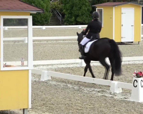 Reitturnier St. Margarethen 2024