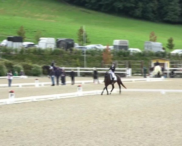Reitturnier St. Margarethen 2024