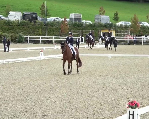 Reitturnier St. Margarethen 2024