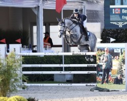 jumper Engas Narinja (Norwegian Warmblood, 2016, from Balou)