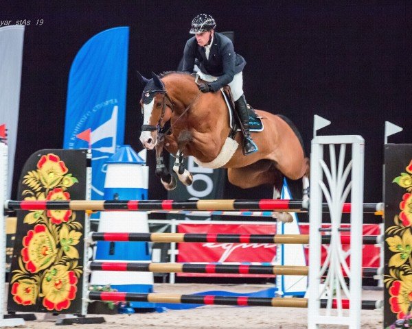 horse Harvey (KWPN (Royal Dutch Sporthorse), 2012, from Cassini Gold)