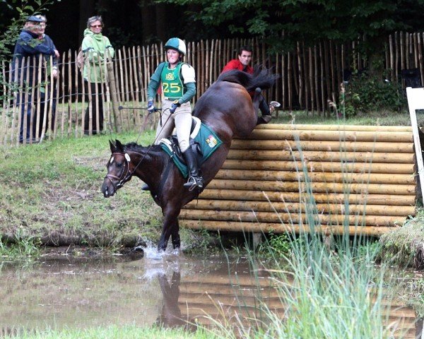 broodmare Lacorna (Trakehner, 2000, from Cornus)